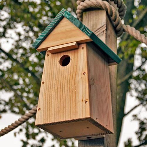Carolina Nest Box