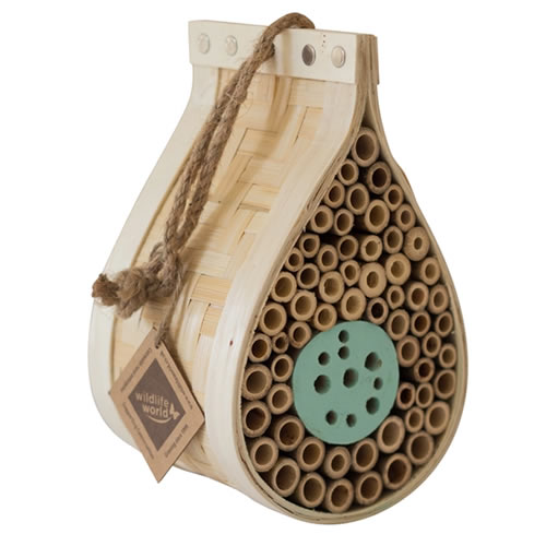 Dewdrop Beneficial Insect House
