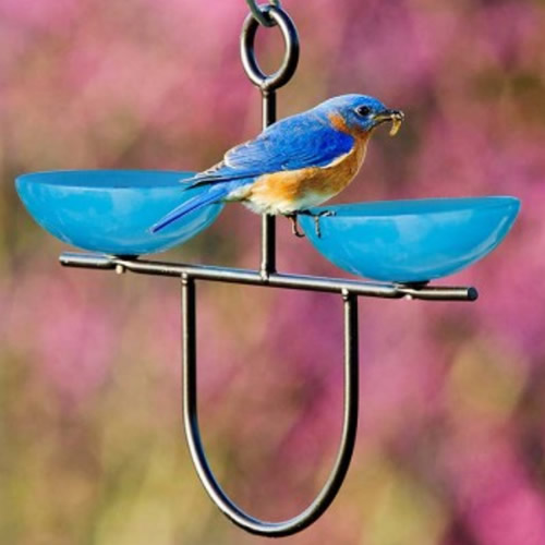 Mosaic Birds Side by Side Poppy Feeder - Bluebird Blue