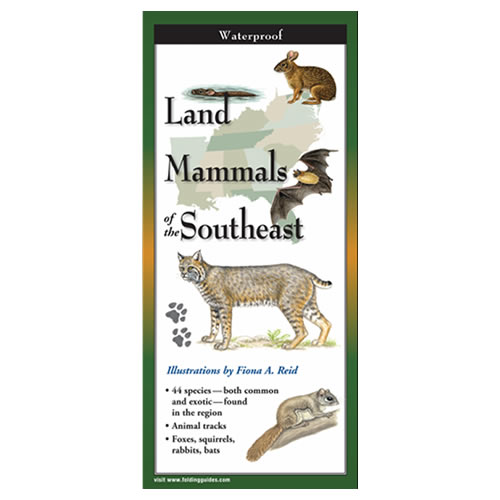 Land Mammals of the Southeast Folding Guide