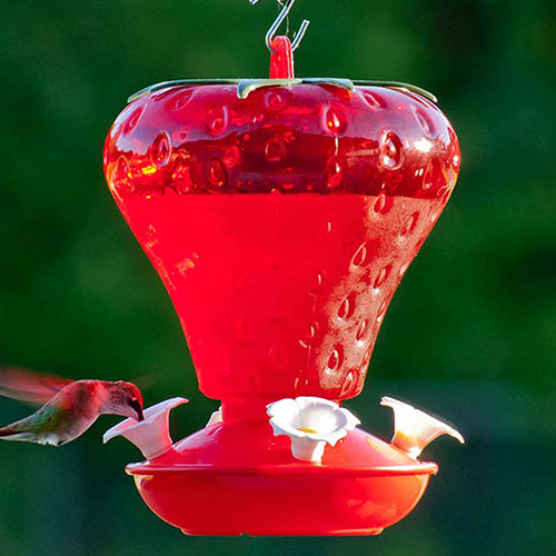 40 oz. Plastic Strawberry Hummingbird Feeder