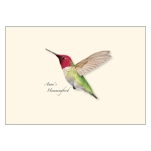 Anna's Hummingbird Boxed Notecards