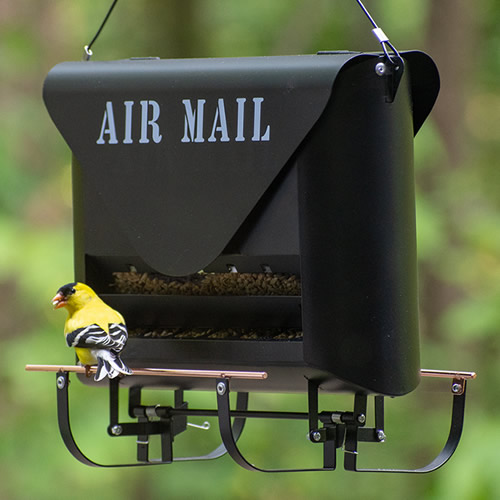 Absolute Squirrel-Resistant Air Mail Feeder
