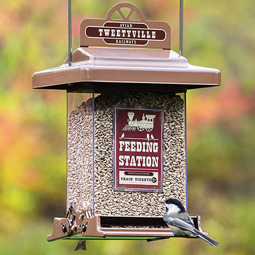Rustic Farmhouse Train Feeding Station Squirrel-Resistant Feeder