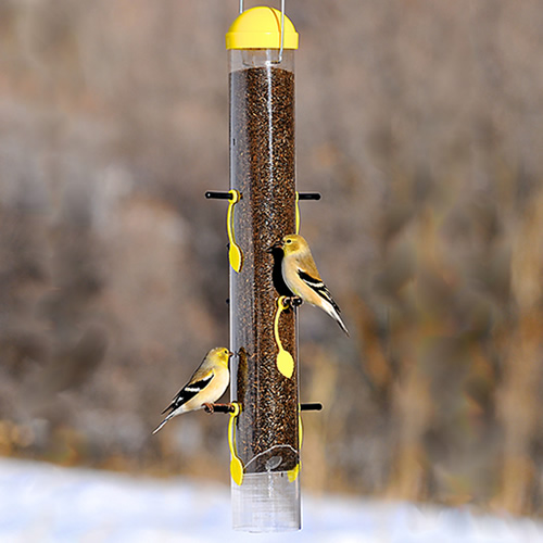 All-in-One Finch Feeder