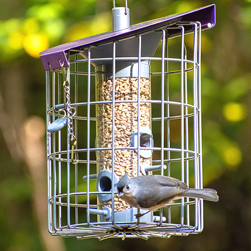 The Nuttery Roundhaus Seed Feeder, Aubergine