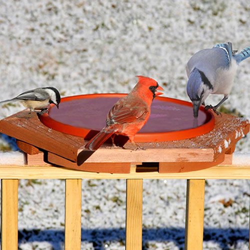 Cedar Heated Deck Bird Bath