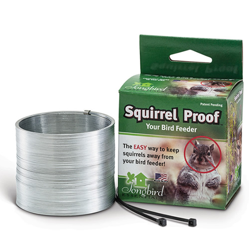 Squirrel Proof Spring Device