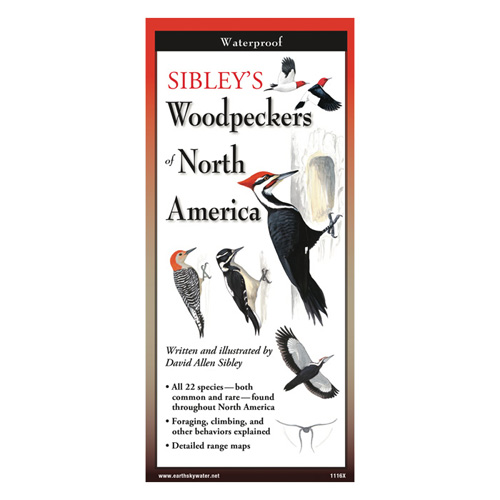 Sibley's Woodpeckers of North America Folding Guide