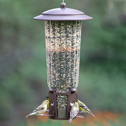 Perky-Pet Squirrel-Be-Gone Max Feeder
