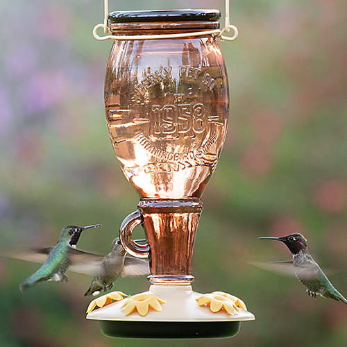 Sugar Maple Hummingbird Feeder