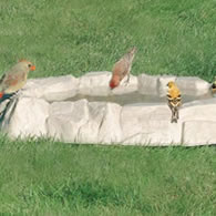 Ground Bird Baths