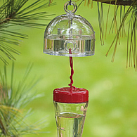 Hummingbird Accessories