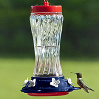 Patriotic Swirl Hummingbird Feeder