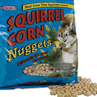 Squirrel Foods
