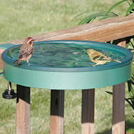 Deck Mounted Bird Baths
