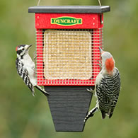 Duncraft Three Woodpecker Suet Shield Wrap Feeder