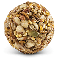 Duncraft Nuts & Bugs Wild Bird Seed Balls