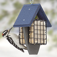 Double Sided Suet Tail Prop Feeder