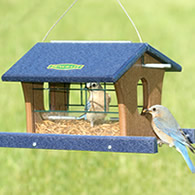 Duncraft Bird-Safe® Extreme Bluebird Feeder