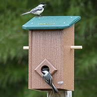 Duncraft Winter Roost with Lookout Perches