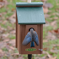 Duncraft Bird-Safe® Perch View Bluebird House & Pole