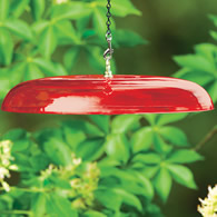 Duncraft Tilt-Top Squirrel Baffle, Red - Made in the USA