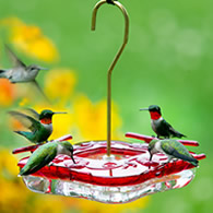 Aspects Square HighView Hummingbird Feeder