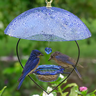 BirdsChoice Bluebird Heart Feeder with Blue Dome