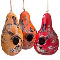 Birds of North America Gourd Birdhouse, Choose from 3 Colors