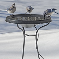 Heated Bird Bath with Pedestal
