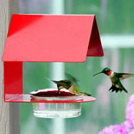 The Cottage Hummingbird Feeder Red