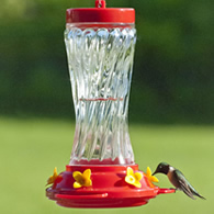 16 oz. Spiral Glass Hummingbird Feeder