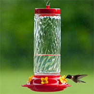 30 oz. Large Glass Hummingbird Feeder