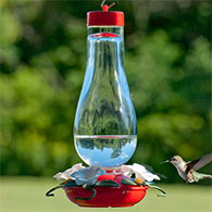 18 oz. Hurricane Glass Hummingbird Feeder