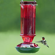 16 oz. Vintage Glass Hummingbird Feeder