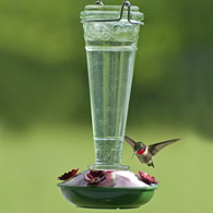 8 oz. Torchiere Glass Hummingbird Feeder
