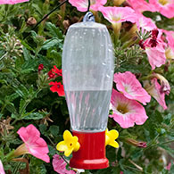 Garden Stake Hummingbird Feeder & Hanging Rod