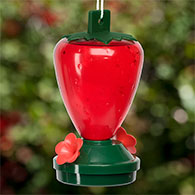 12 oz. Plastic Strawberry Hummingbird Feeder