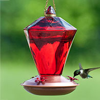 20 oz. Diamond Glass Hummingbird Feeder