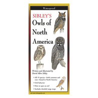 Sibley's Owls of North America Folding Guide