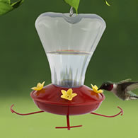 16 oz. Plastic Trumpet Flower Hummingbird Feeder
