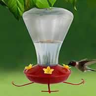24 oz. Plastic Trumpet Flower Hummingbird Feeder