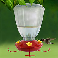32 oz. Plastic Trumpet Flower Hummingbird Feeder