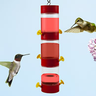Modular Hanging Plastic Hummingbird Feeder, Set of 3