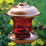 16 oz. Ruby Glass Hummingbird Feeder