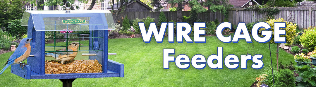 Wire Cage Feeders—Why You Need One!